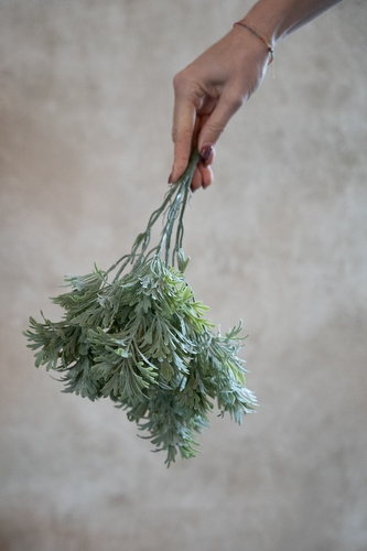 Bosje Thijm Bosje Thijm