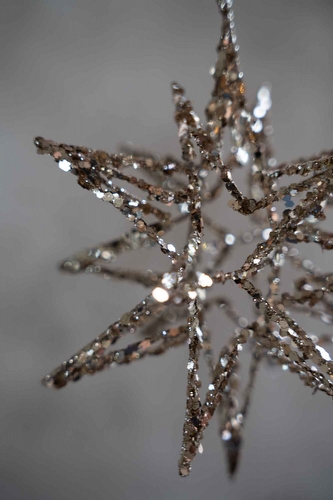 Kerstster Champagne - 3D Sparkle Star
