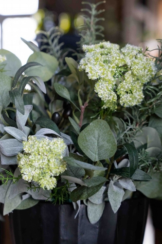 Tak Wilde Peen Klein - Groen Tak Wilde Peen Klein - Groen